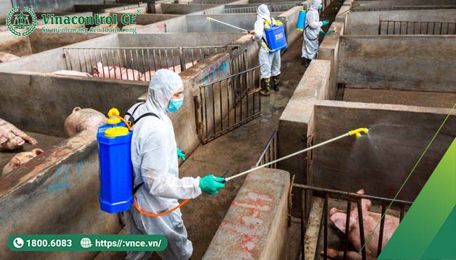 vệ sinh chuồng trại thường xuyên