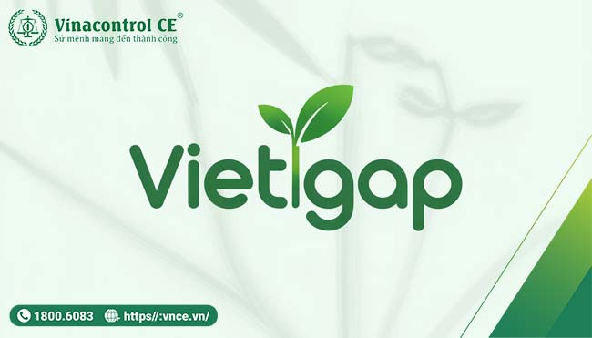 Logo VietGAP là gì? Hướng dẫn sử dụng đúng chuẩn theo quy định mới nhất